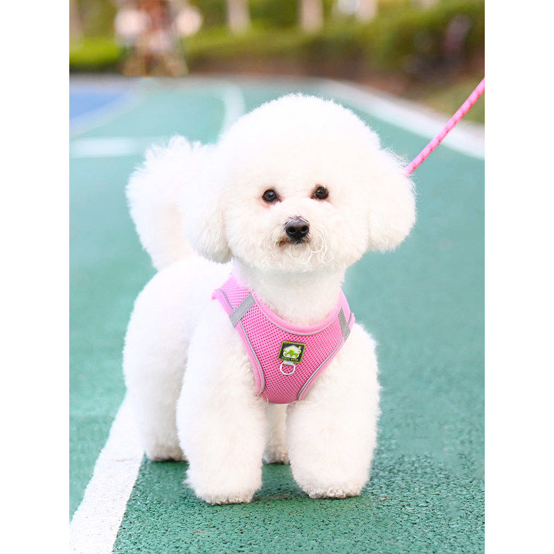 背心式狗狗牵引绳小型犬比熊泰迪博美小狗幼犬胸背带遛狗绳狗链子
