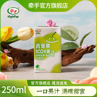 【工厂直发】牵手青苹果100%果汁250ml*6盒整箱批发饮料饮品