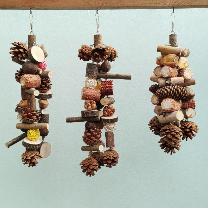 鹦鹉啃咬玩具天然干果解闷鸟站逗鸟玄风虎皮站架训练磨牙树枝站台,宠物/宠物食品及用品,鸟玩具,淘宝优惠券,粉丝福利购,淘宝优惠卷