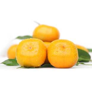 台湾进口 富有次郎 清甜脆柿 硬柿子4斤大果脆甜多汁新鲜水果