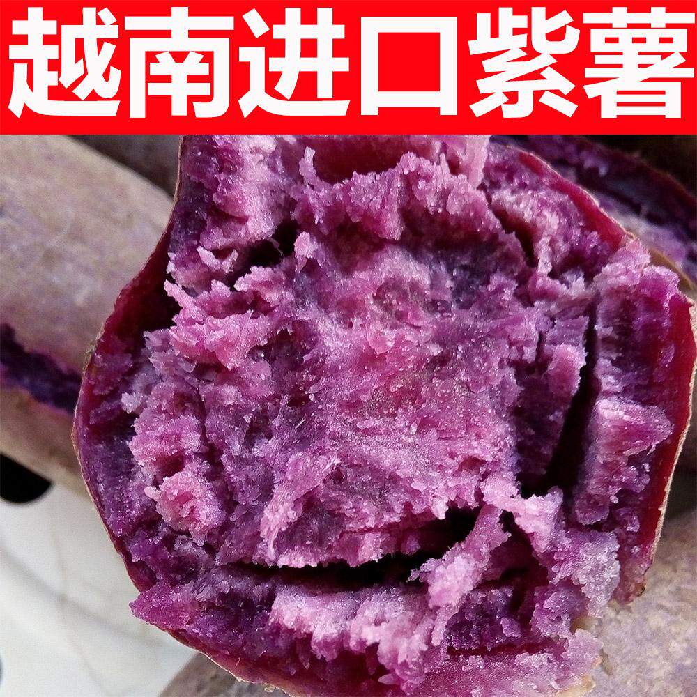 越南小紫薯进口迷你番薯新鲜现挖小地瓜红薯香薯5斤新品山芋