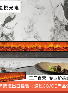 电子壁炉仿真火装饰柜取暖器家用木柴火焰灯客厅氛围感火炉芯定制
