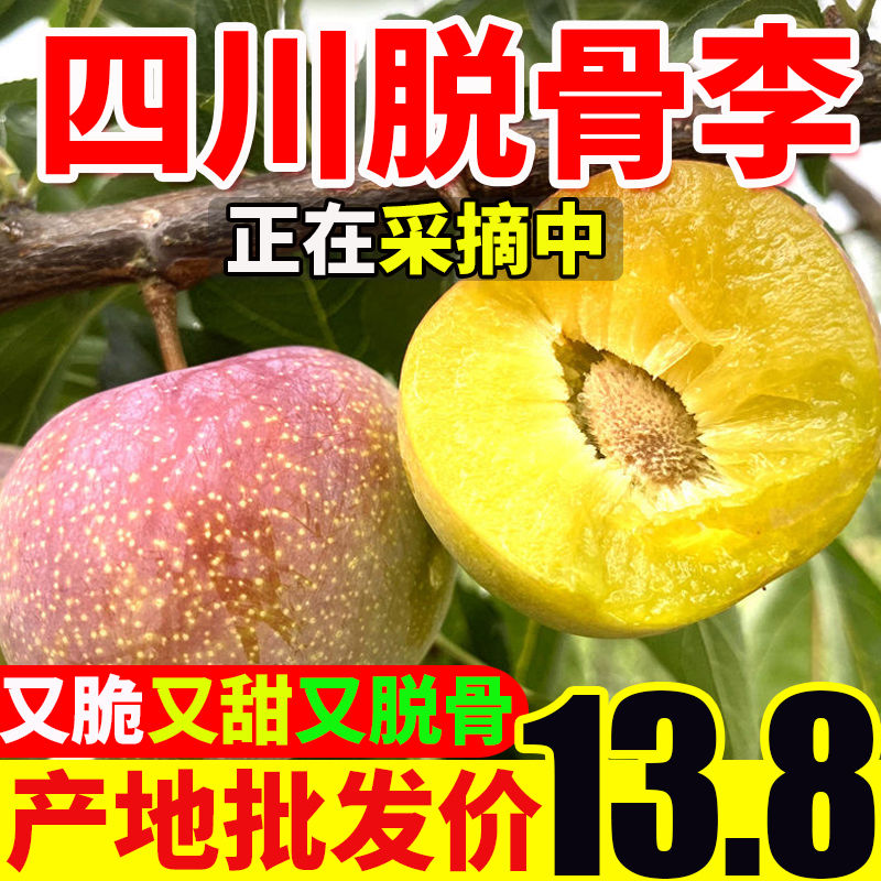 四川茵紅李青紅脫骨李子新鮮脆甜當(dāng)季整箱水果青脆李脆紅李半邊紅