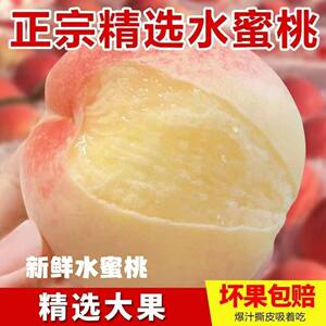 【京东包邮】正宗露天高山水蜜桃新鲜香甜软嫩水果整箱