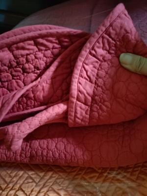 2.3*2.5zarahome纯棉床盖被子出口外贸红色婚庆款