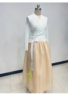 朝鲜族舞蹈服装女长裙练功服民族民间舞演出集训上衣艺术艺考