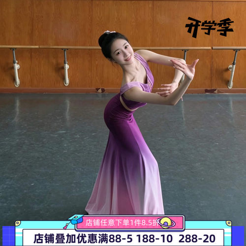 舞研依库傣族舞艺考紫色鱼尾裙