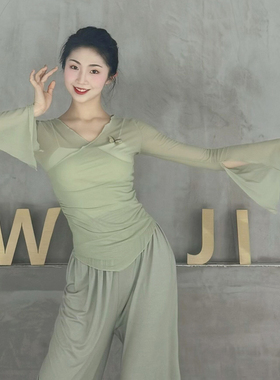 古典舞身韵纱衣蝴蝶网纱上衣练功服舞蹈老师上课服中国民族舞服装