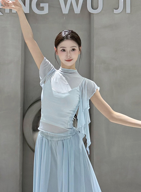古典舞高领纱衣身韵舞蹈服修身短袖上衣女芭蕾舞练功服现代舞罩衫