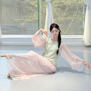 演出服套装 古典舞国风舞蹈服飘逸纱衣新中式 马甲练功服宽松阔腿裤