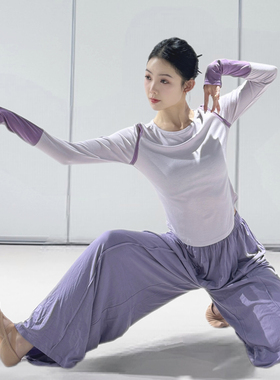 现代舞练功服2025新款舞蹈上衣秋冬古典舞形体服成人跳舞服装撞色