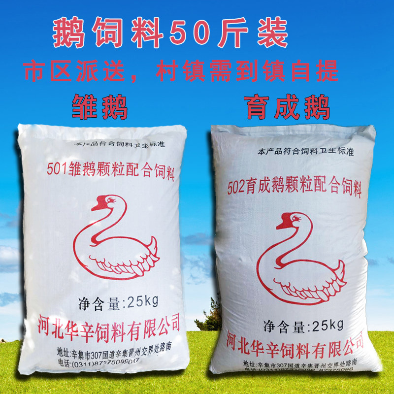 鹅苗孵化行业最新动态