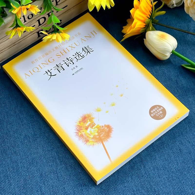 正版语文名著阅读 九年级上 艾青诗选集 世界名著 学生儿童启蒙早教文学小说散文故事书籍