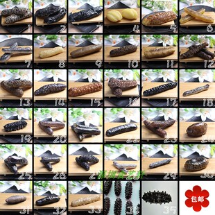 厂家热销仿真各式海参海鲜产品模型食物定做拍摄道具展示摄影摆件