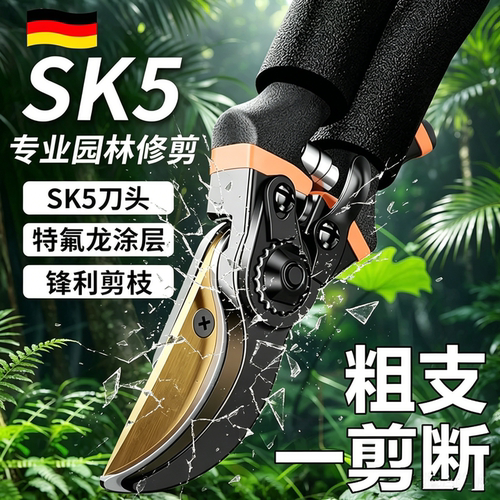 园艺剪刀修枝剪修果树剪枝名牌十大品牌枝条修剪花卉树枝专用工具