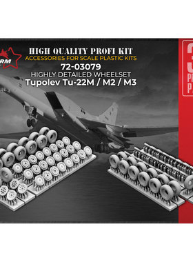 RA72-03079图22/Tu-22M/M2/M3逆火轰炸机1/72拼装模型3D打印轮胎