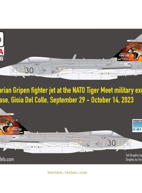 HADE481006 JAS-39战斗机1/48模型涂装水贴纸