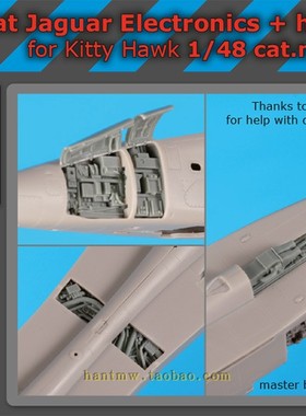 BDOA48119美洲豹攻击机1/48拼装模型树脂航电舱管线和舱盖配小鹰
