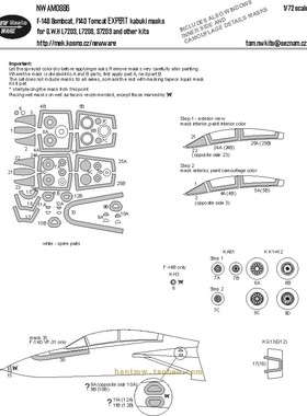 NWA-M0886 F-14B 炸弹猫F-14D战斗机1/72模型王牌涂装遮盖配长城