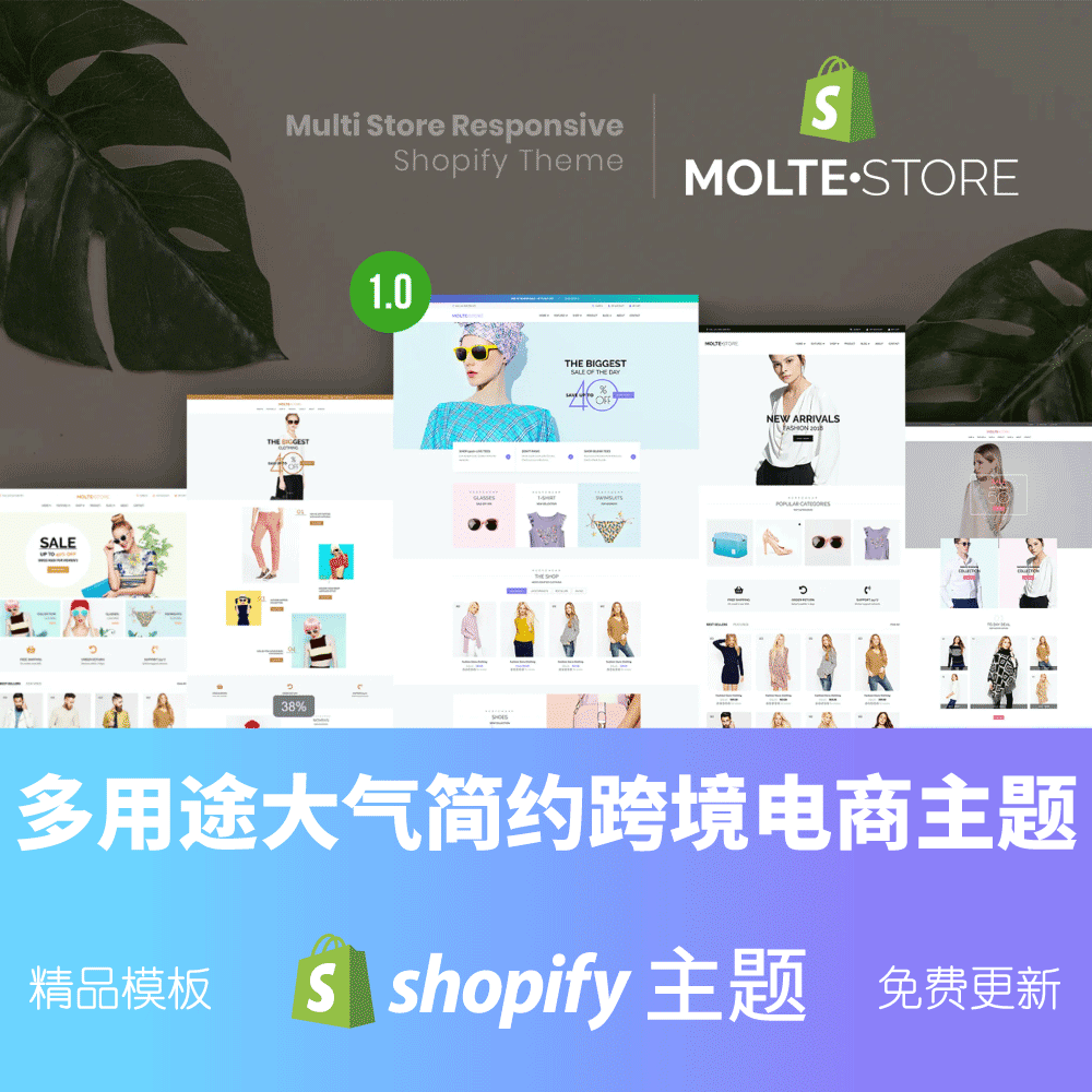 Shopify主题模板时尚大气简约服装品牌跨境电商独立站MolteStore