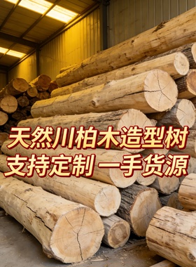 柏木实木枯木圆柱隔断凉亭摆件