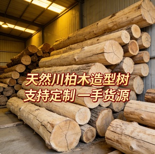 枯木树干实木柏木立柱圆柱子隔断房梁木凉亭装饰柏树摆件树干造景