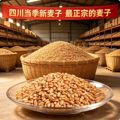 农家新货带皮小麦粒酿酒麦芽糖