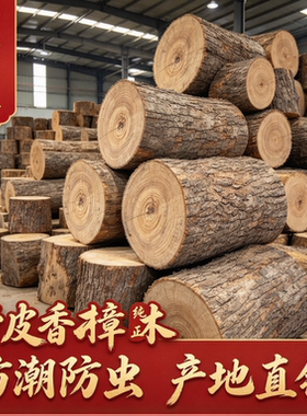 绵阳正宗香樟木带皮木墩定制