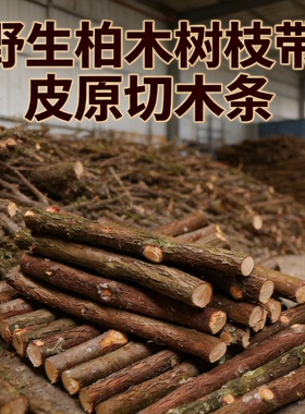 野生柏木条装饰摆件DIY批发