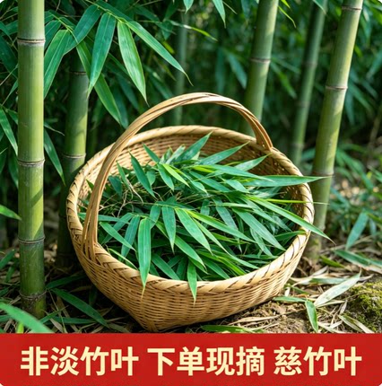 四川绵阳新鲜竹子叶山竹叶竹叶现采晒干慈竹叶非淡竹叶石竹叶包邮