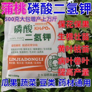 蒲桃专用磷酸二氢钾叶面肥催花保果药蔬菜果树花卉通用生根壮苗剂