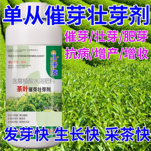 单从茶叶面肥茶叶催芽剂催芽长嫩绿抗寒抗冻催芽素生长素叶面肥料