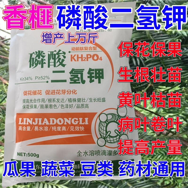 香榧专用磷酸二氢钾叶面肥催花保果药蔬菜果树花卉通用生根壮苗剂