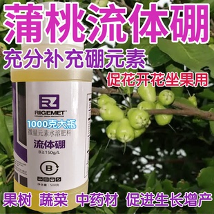 蒲桃流体硼叶面肥液体硼水溶硼农用硼催花坐果瓜果蔬菜果树硼元素