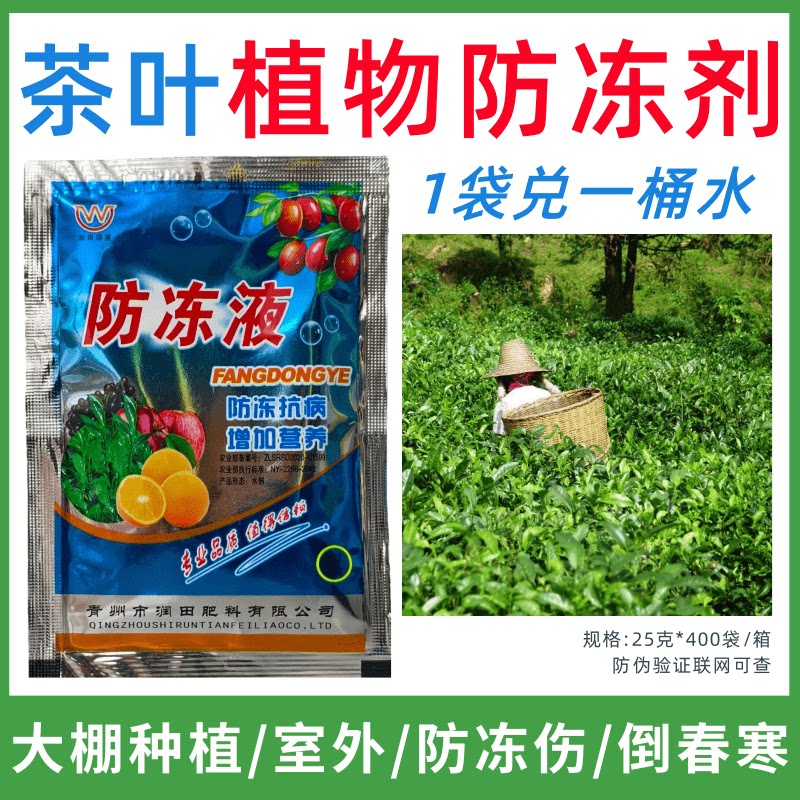 茶叶专用防冻剂植物防冻液防冻抗寒增产叶面肥蔬菜果树预防倒春寒