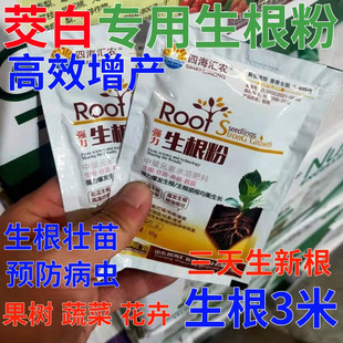 茭白生根粉果树扦插生根壮苗剂增产营养液蔬菜药材强力生根叶面肥