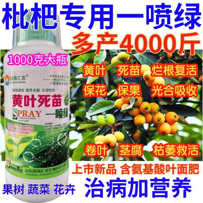 枇杷黄叶死苗一喷绿氨基酸叶面肥营养液果树蔬菜微量元素水溶肥料