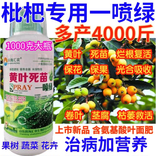 枇杷黄叶死苗一喷绿氨基酸叶面肥营养液果树蔬菜微量元素水溶肥料