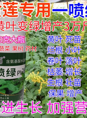 黄莲一喷绿叶面肥黄叶变绿水溶肥果树蔬菜药材提苗素营养液叶绿素