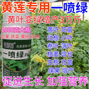 黄莲一喷绿叶面肥黄叶变绿水溶肥果树蔬菜药材提苗素营养液叶绿素