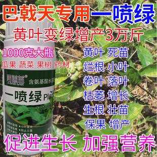 巴戟天一喷绿叶面肥黄叶变绿水溶肥果树蔬菜药材提苗营养液叶绿素