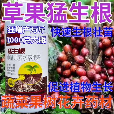 草果猛生根生根壮苗剂果树蔬菜叶面肥狂生根生根液水溶肥料生根粉
