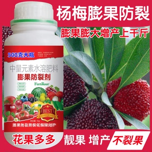 杨梅膨果防裂剂保花保果膨大靓果防裂果坐果灵果树增甜保果叶面肥
