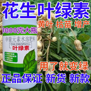 花生叶绿素叶面肥植物肥料增绿增厚花卉果树蔬菜黄叶死苗水溶肥料