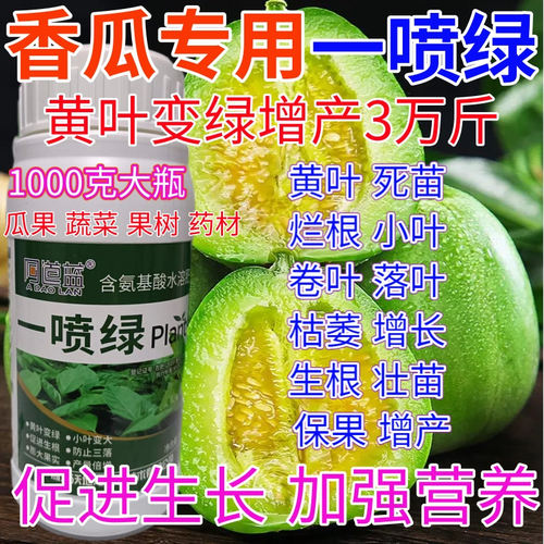 香瓜一喷绿叶面肥黄叶变绿水溶肥果树蔬菜药材提苗素营养液叶绿素
