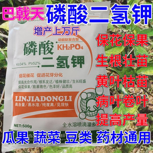 巴戟天专用磷酸二氢钾叶面肥催花保果蔬菜果树花卉通用生根壮苗剂