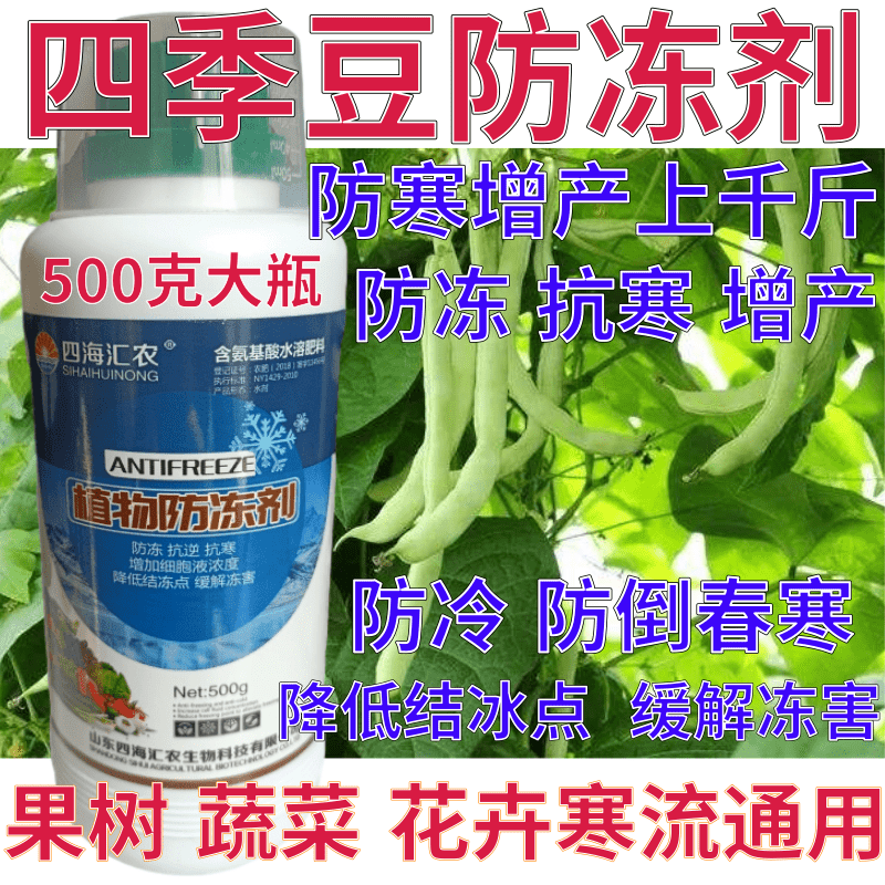 四季豆防冻剂防寒抗冻抗寒缓解冻害果树蔬菜叶面肥植物防冻营养液