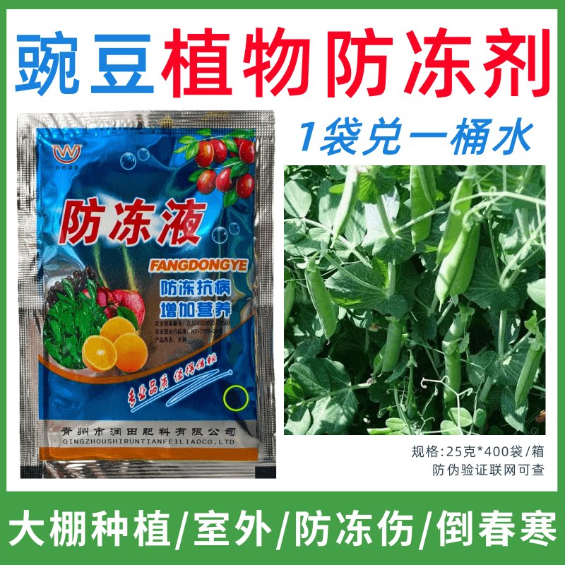 豌豆专用防冻剂植物防冻剂防冻抗寒增产叶面肥蔬菜果树预防倒春寒