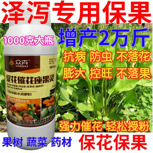 泽泻保花保果药催花授粉坐果灵果树防落素瓜果蔬菜增产专用叶面肥