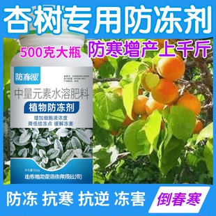 杏树防冻剂防寒抗冻抗寒缓解冻害果树蔬菜药材增产植物防冻营养液